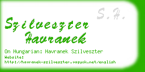 szilveszter havranek business card